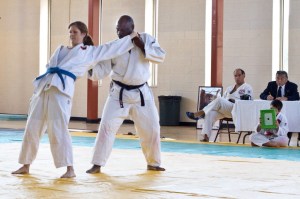 Intermediate Team Michelle Veloso and Wayne Stone perform Ju No Kata