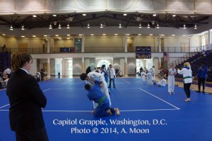 Capital Grapple 2014 Agnes Moon Photos 8