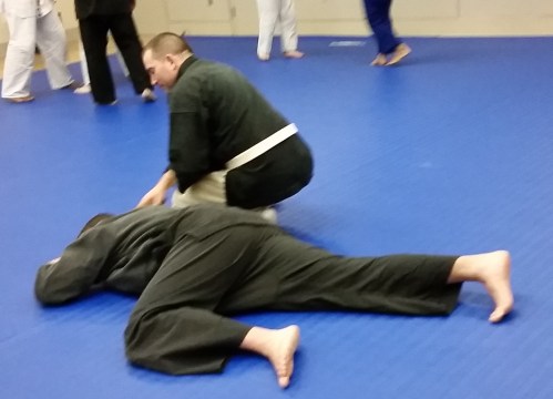 The Bujinkan experts took it pretty seriously