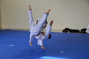 Head over heels for Judo