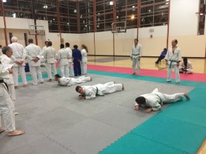 Adult testing continued